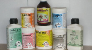 Jaké vitamíny holubi potřebují a jak je správně podávat